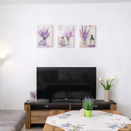 Apartment Saupe *
